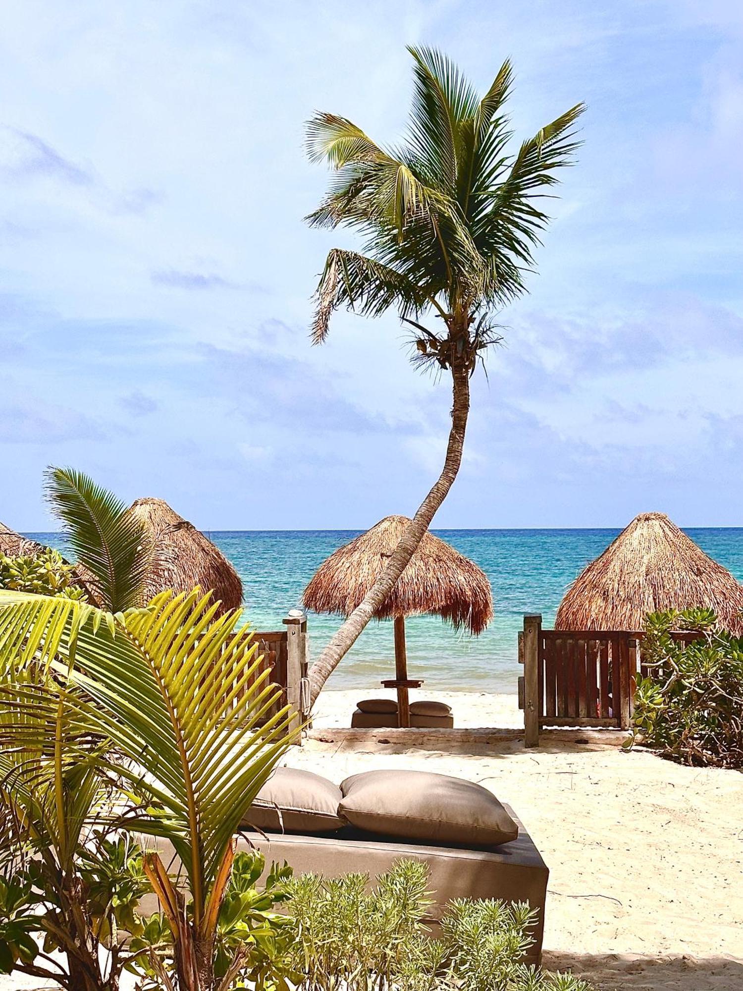 HOTEL LA CONCHITA TULUM (ADULTS ONLY) TULUM 4* (Mexico) - from C$ 191 |  iBOOKED