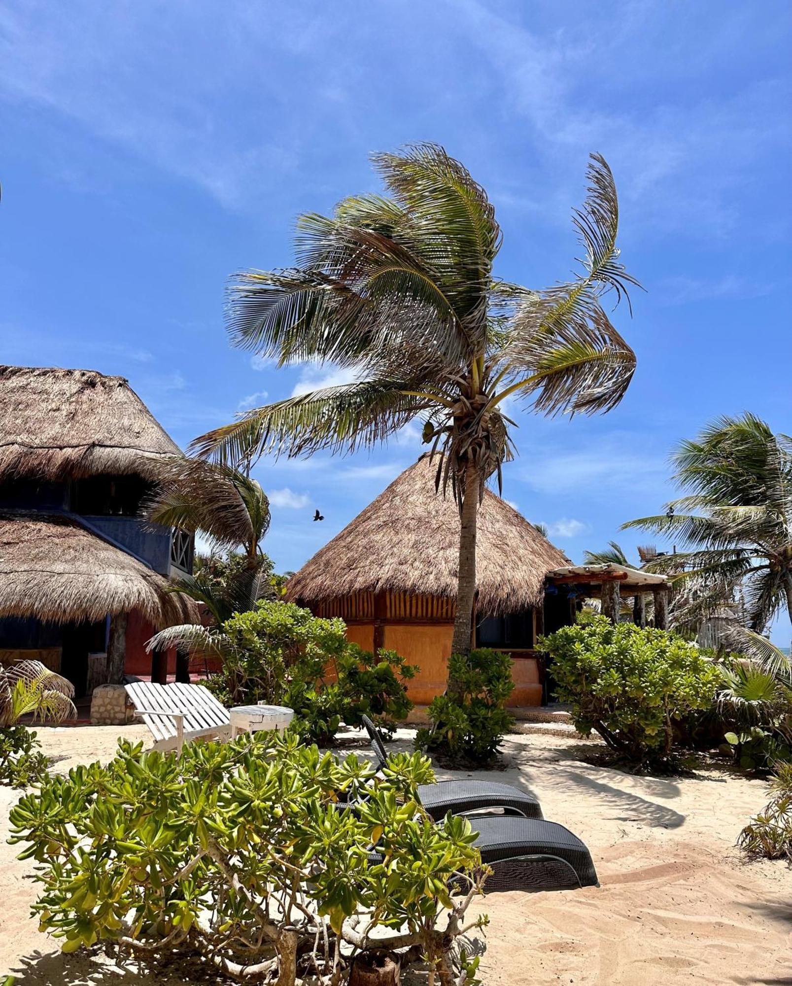 HOTEL LA CONCHITA TULUM (ADULTS ONLY) TULUM 4* (Mexico) - from C$ 191 |  iBOOKED